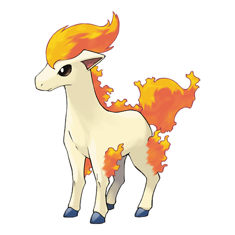 Ponyta